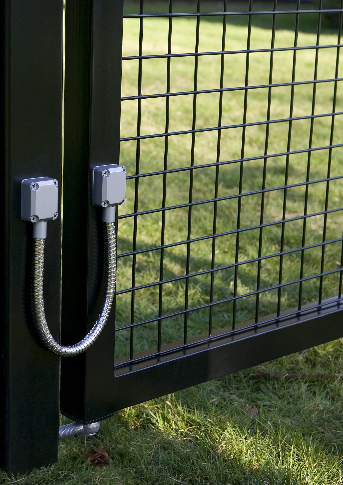 Locinox nerudijancio plieno vyris su poliamido kaisciu.