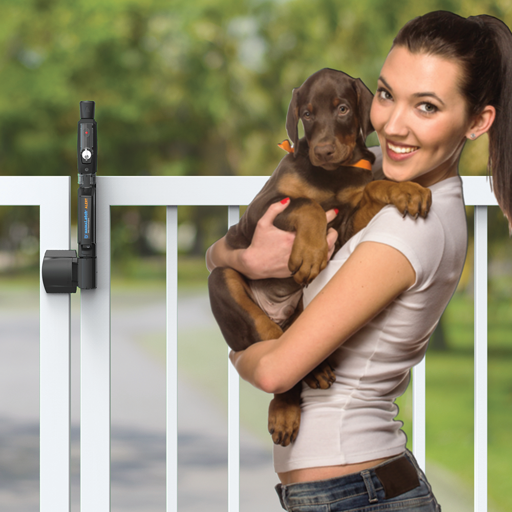 D&D Technologies signalizuojantis apsauginis skląstis varteliams.