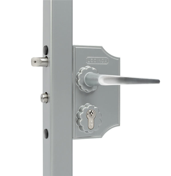 Locinox ant pavirsiaus montuojama didesne ornamentine spyna.