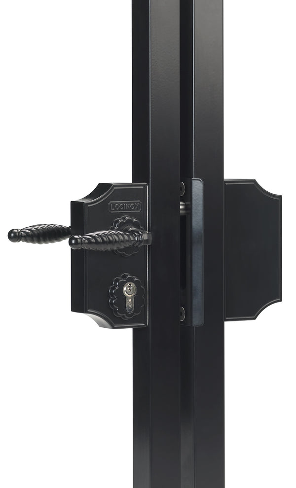 Locinox ant pavirsiaus montuojama didesne ornamentine spyna.