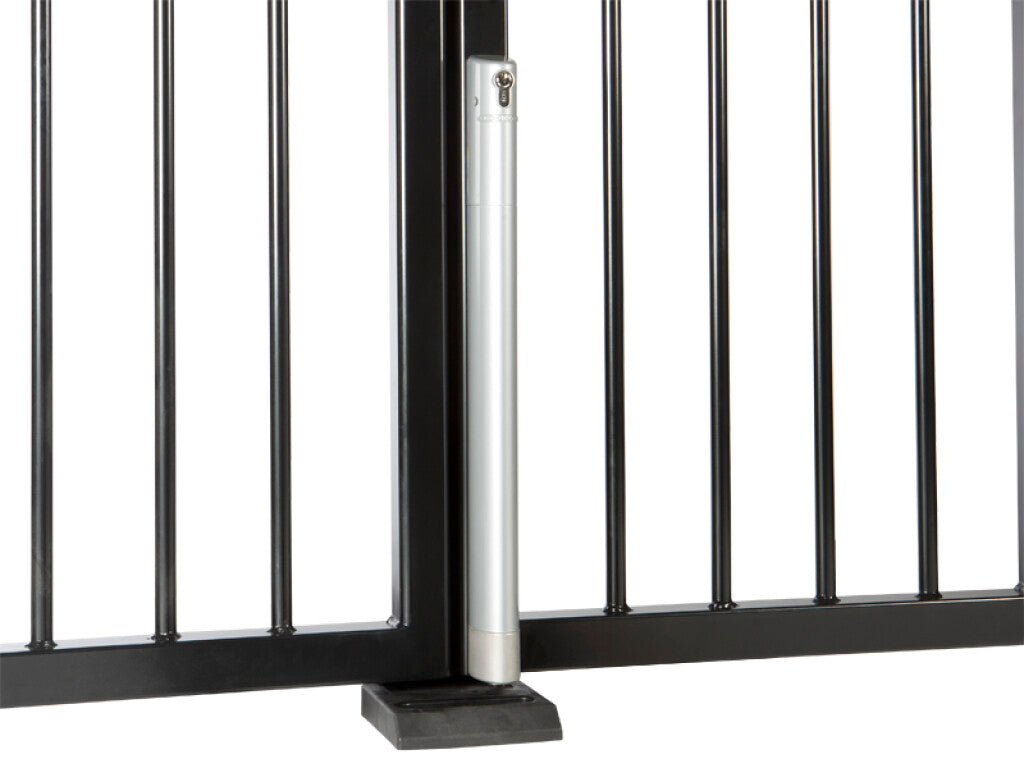 Locinox motorizuotas elektrinis vartu fiksatorius.