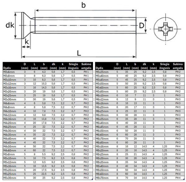 Varztas ileidziama galva DIN965 Specifikacija